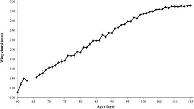 Frontiers | Successful translocation of Newell's Shearwaters and